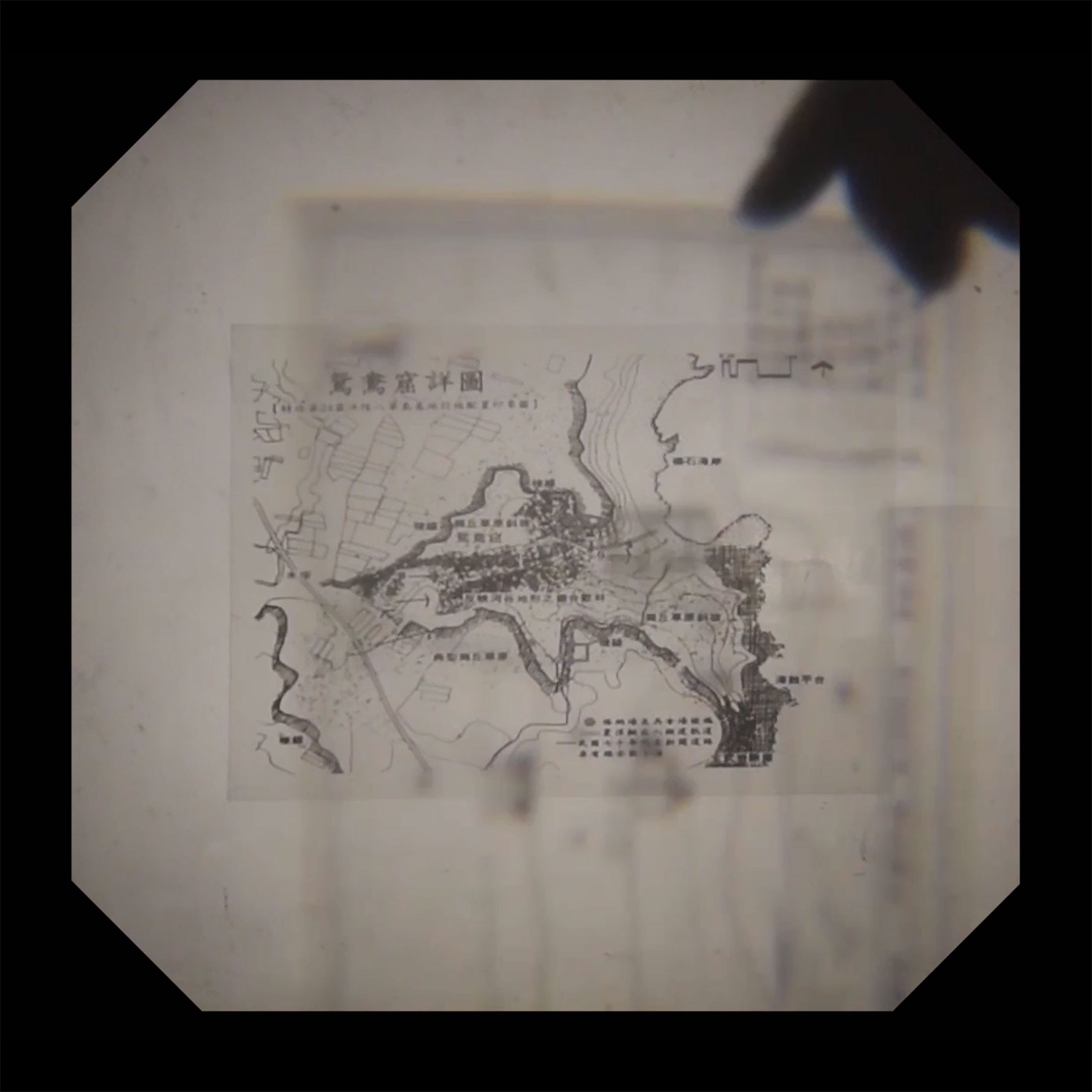 WEB-fabricating-mandarin-duck_03