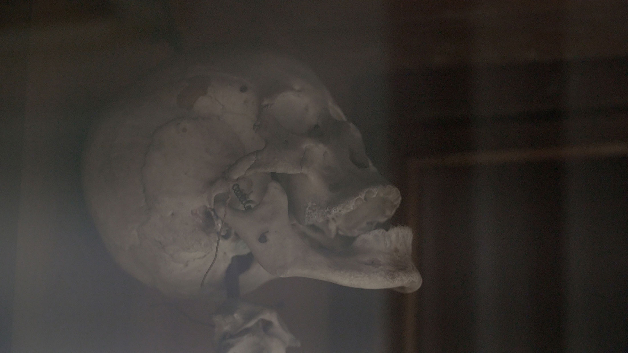 WEB不在研究室的標本錄像截圖-二中人骨標本