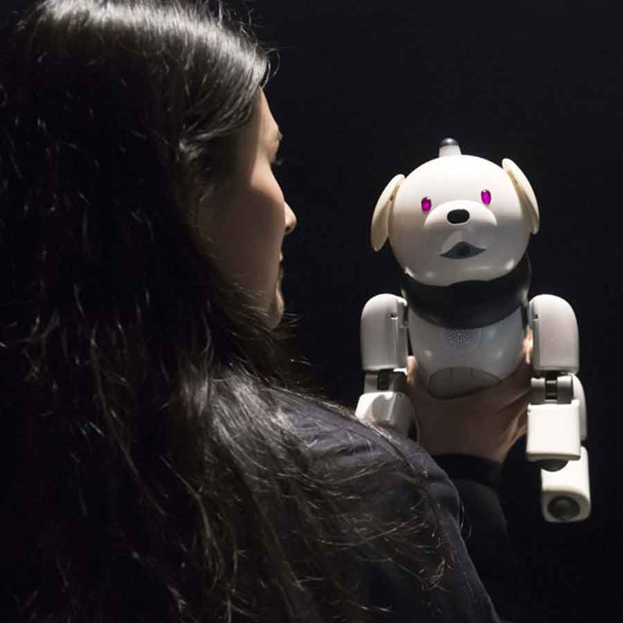 點擊查看更多內容